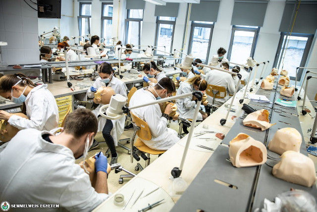 Semmelweis Egyetem - fogorvos hallgatók
