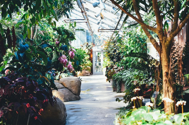 Gardenexpo 2019 - Vásárlás