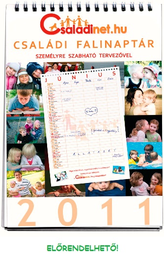 Csal&aacute;dinet Csal&aacute;di Tervez� Falinapt&aacute;r 