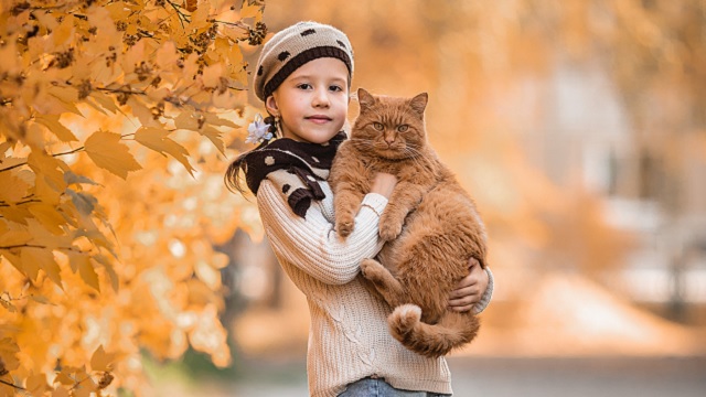 5 dolog, amit egy macska tanthat a gyermekednek