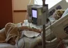 Két nő is meghalt szülés után ugyanabban a magyar kórházban
