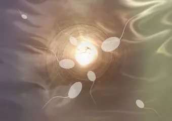 Ez történik a spermával mRNS oltás után – tényleg meddőséget okozhat?