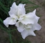 Egy�tt az �let�rt...