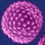 Term�szetes immuntr�ning az allergia megel�z�s��rt