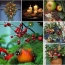 Kar�csonyi k�sz�l�d�s a harm�nia, szeretet jegy�ben