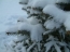 Gondolat�breszt�s