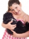Egyre nagyobb k�lts�gei vannak a felel�s �llattart�snak