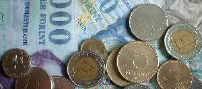 Hogyan spóroljuk meg kiadásaink 50%-át? (Cikkíró pályázatra beküldött írás) Hogyan spóroljuk meg kiadásaink 50%-át? (Cikkíró pályázatra beküldött írás)