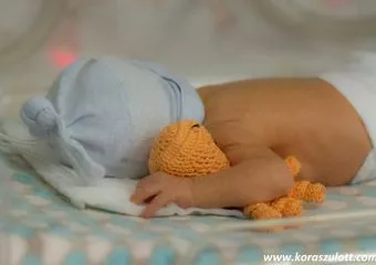 A koraszülött babák első társa és nagy segítsége a küzdelemben: a Korip