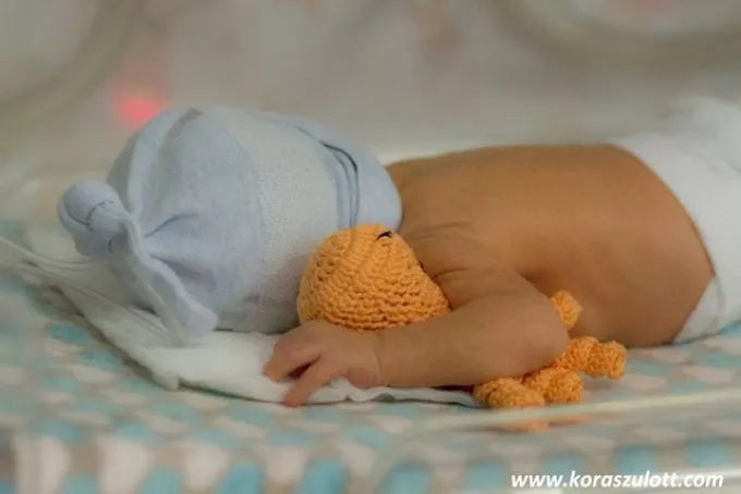 A koraszülött babák első társa és nagy segítsége a küzdelemben: a Korip