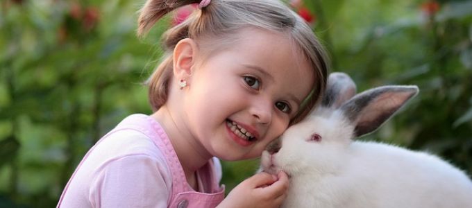 Húsvétra vásárolt, majd eldobott házi nyuszik - mit tanulnak mindebből a gyerekeink? Húsvétra vásárolt, majd eldobott házi nyuszik - mit tanulnak mindebből a gyerekeink?