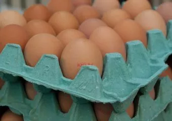 Magyarországra is érkezett fipronillal szennyezett tojás és tojástermék