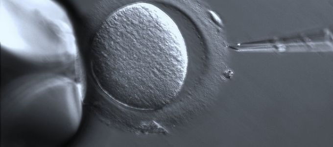 Magyar találmány forradalmasíthatja a meddőségkezelések sikerességét világszerte Magyar találmány forradalmasíthatja a meddőségkezelések sikerességét világszerte