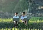 Egy iskola elhagyta a táblagépeket és visszatért a hagyományos tanuláshoz: a gyerekek sokkal jobban teljesítenek