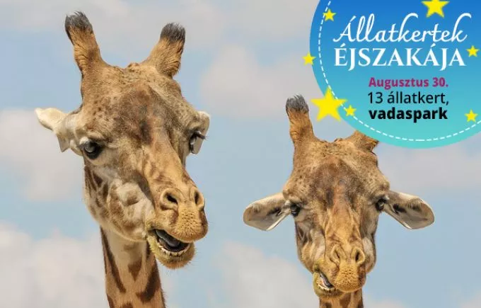 Állatkertek Éjszakája 2019: különleges esti programok országszerte 13 helyszínen