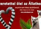 Valentin-napi páros kedvezmények az Állatkertben - Szombattól hétfőig ketten egy jegy áráért látogathatják a városligeti intézményt