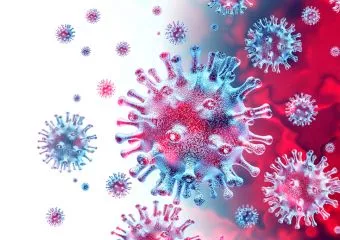 Megújul a koronavírusról szóló tájékoztatók rendszere