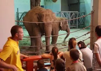 Áloméj az Állatkertben Péntek este - zárás után - mozgáskorlátozott gyermekeket lát vendégül az Állatkert