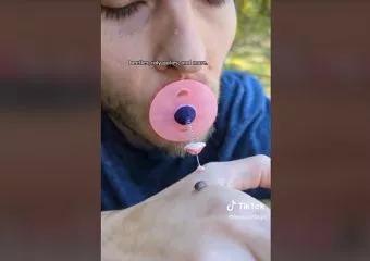 Ezzel az eszközzel meg lehet csókolni a rovarokat
