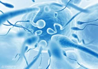 Hanyatlik a férfi nemzőképesség: ezek a fő rizikófaktorok, melyek ronthatják a spermiumok funkcióját