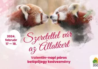 Páros kedvezmények Valentin-nap alkalmából - Szerdán este a Lampion Fesztivál, hétvégén maga az Állatkert látogatható páros kedvezménnyel