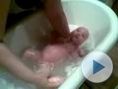 Kinga F�rdik