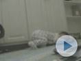 Vid�m `szak�t�s�
