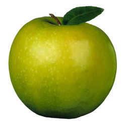 A csbt alma