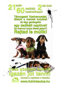 Egy autogram s ms semmi - Sztrok a kutykrt!