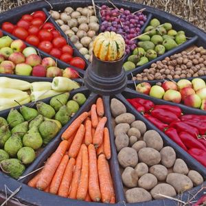Új irányzat: a Lifestyle Medicine - Életmód Orvoslás