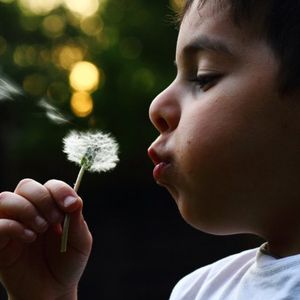 A pollenek allergis asztmt is okozhatnak