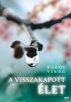 Rados Virg: A visszakapott let