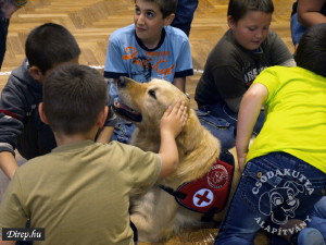 Autista gyermekekkel ismerkedtek a Csodakutyk