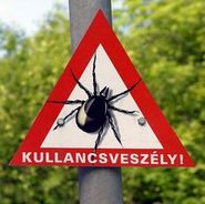 Vegyk fel a kesztyt a Lyme-krral!