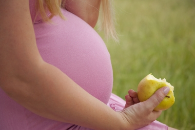 A terhessg alatti dita nem segti az allergia megelzst