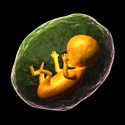 Trvnyben kell megtiltani a magzat neme miatti abortuszt