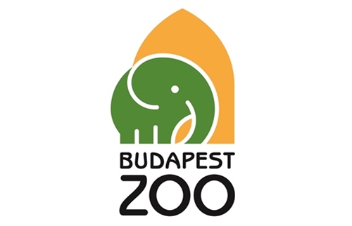 Elrvult orangutn klyk letrt kzdenek az llatkertben