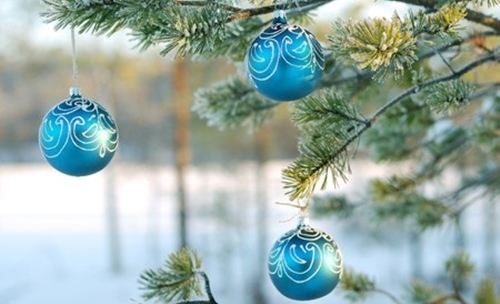 Adventi kszlds 21.: Krnyezettudatos nnepet!