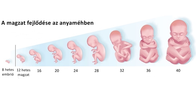 ülés a prosztatitisből telepítés húgycsőbe prosztatitisben