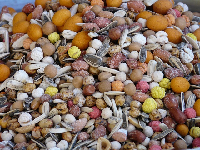 mogyor allergia
