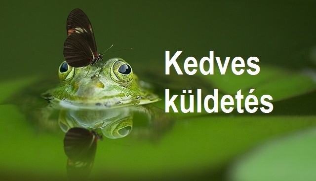 Kedves kldets