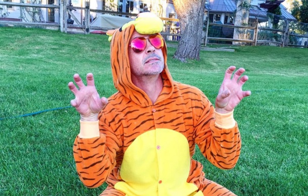 Robert Downey Jr. vlasza