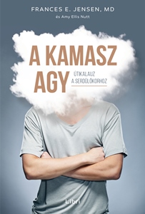 kamasz agy