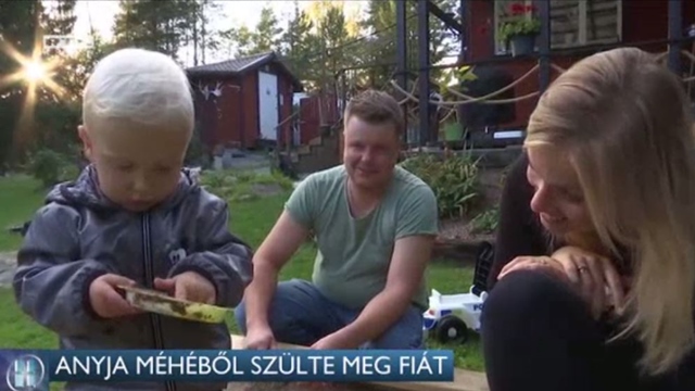 mhtltets