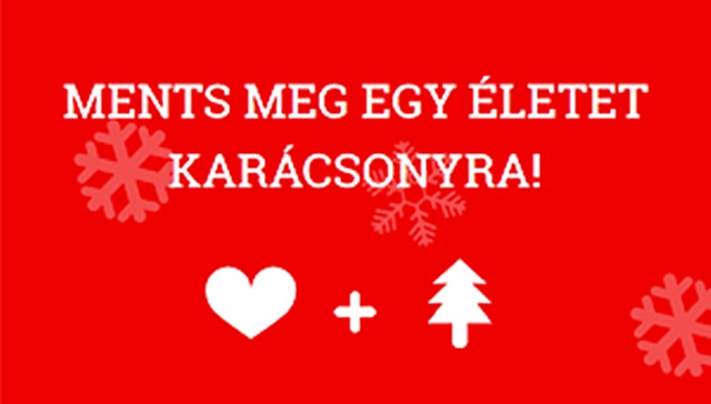 adományozás