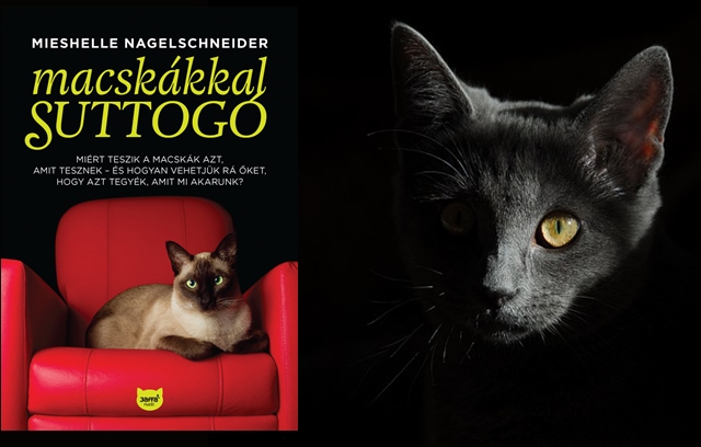 Macskákkal suttogó