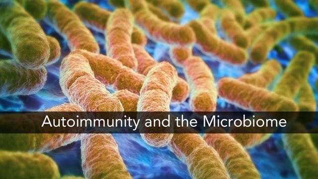 táplálkozás és mikrobiom kapcsolata