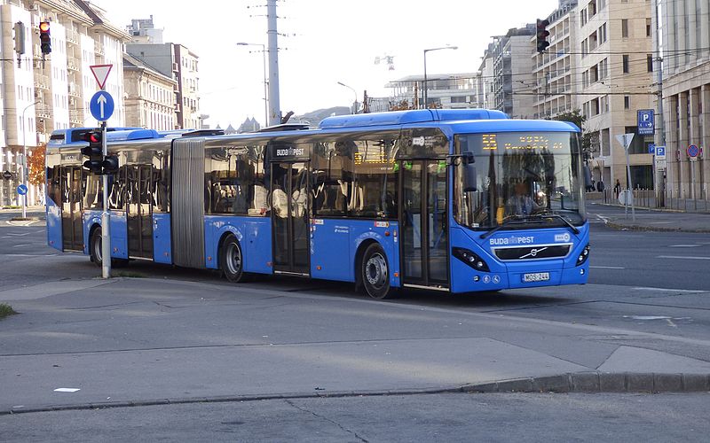 55-s busz