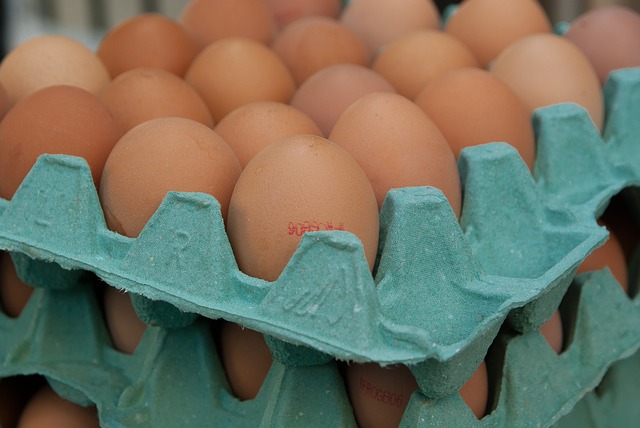 fipronillal szennyezett tojás és tojástermék