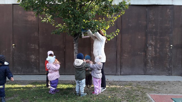 fa gyerekeket etet